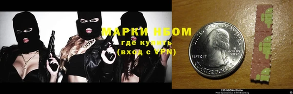 сатива Белокуриха