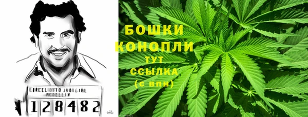 сатива Белокуриха