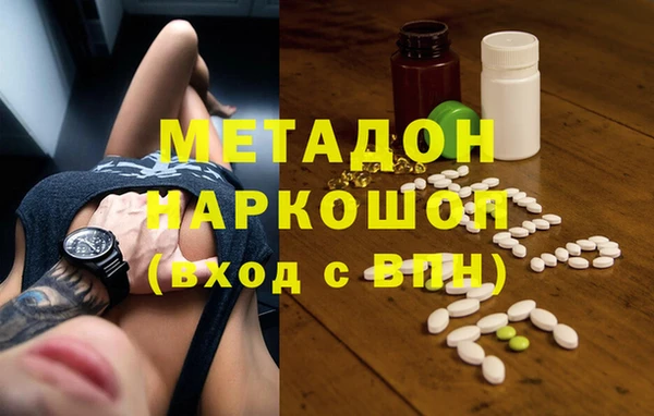 сатива Белокуриха