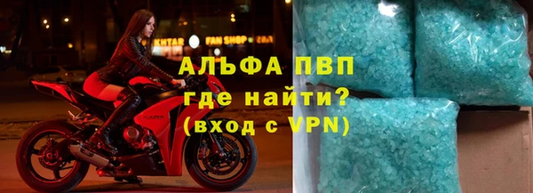сатива Белокуриха