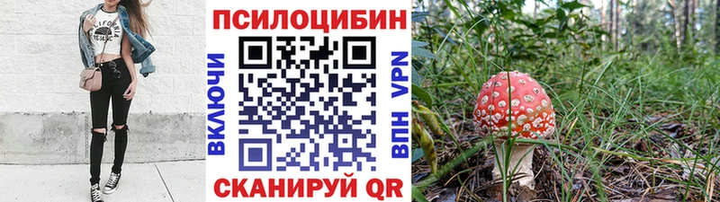 Псилоцибиновые грибы Psilocybe  Горнозаводск 